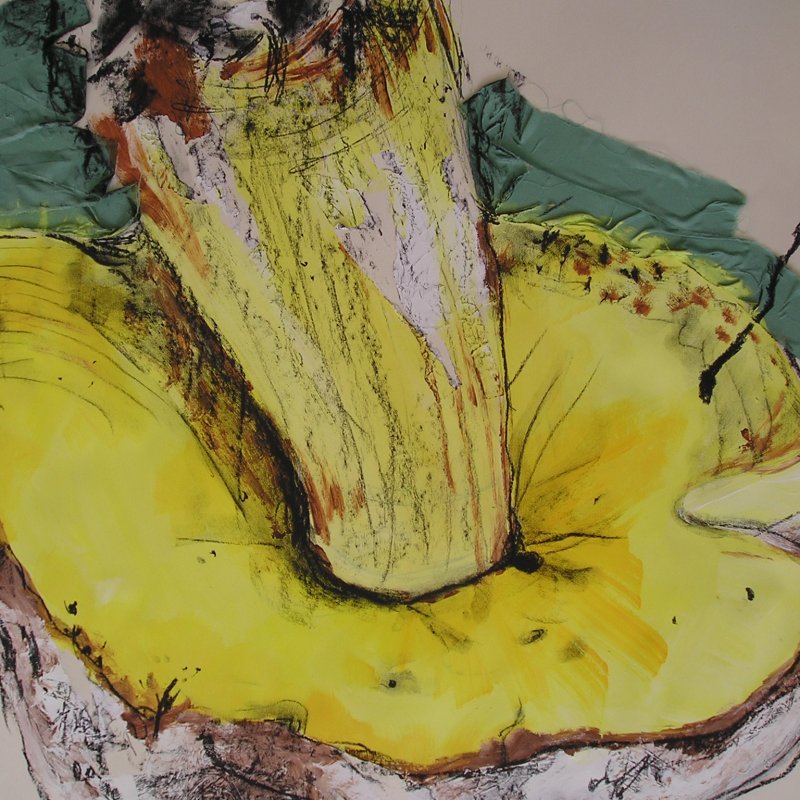 Yellow Mushroom mixed media drawing