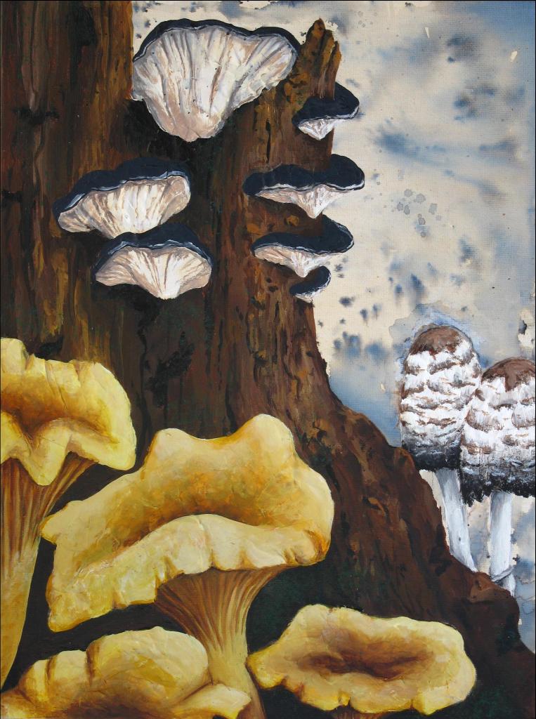 mixed media painting of chanterelle mushrooms