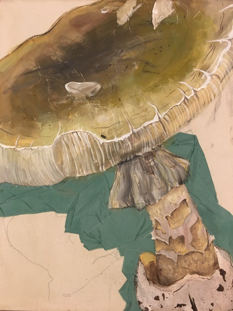mixed media painting of Death Cap mushroom - poisonous 